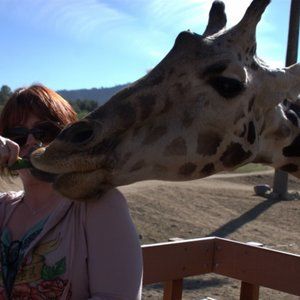 Meet your Posher, Lisamarie